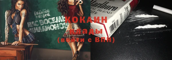 Альфа ПВП Лагань