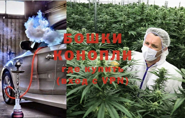 Альфа ПВП Лагань