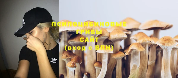 кристаллы Липки