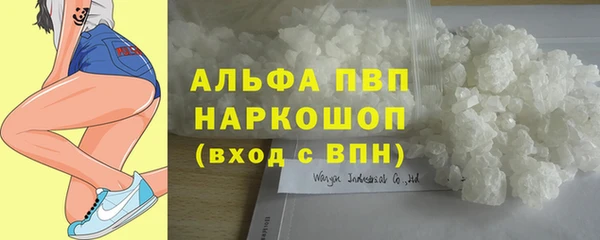 гашик Лабытнанги
