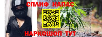 твердый Новозыбков