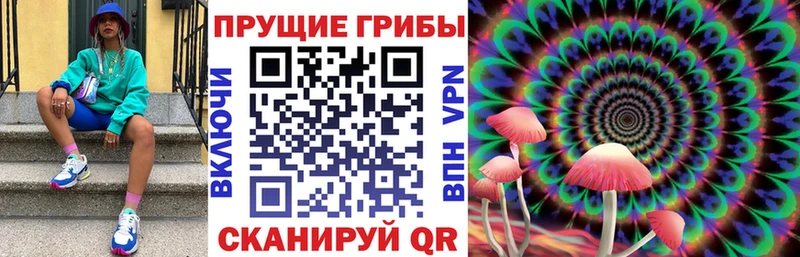 Галлюциногенные грибы Psilocybine cubensis  Отрадный 